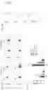 Fig. 06 - METHODS FOR PRODUCING REGULATORY B CELLS AND USES THEREOF