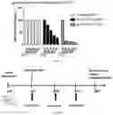Fig. 08 - UNIVERSAL CAR-T CELL AND PREPARATION METHOD AND USE THEREOF
