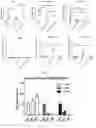 Fig. 09 - UNIVERSAL CAR-T CELL AND PREPARATION METHOD AND USE THEREOF