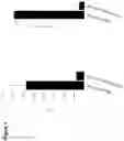 Fig. 02 - The Treatment of Protein Aggregation Diseases