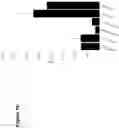 Fig. 12 - The Treatment of Protein Aggregation Diseases