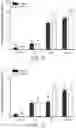 Fig. 12 - Salivary Gland Cell Sheets and Methods for their Production and Use