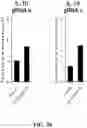 Fig. 07 - METHODS AND COMPOSITIONS FOR CELL THERAPY