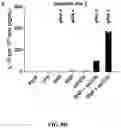 Fig. 11 - METHODS AND COMPOSITIONS FOR CELL THERAPY
