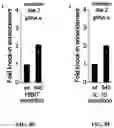 Fig. 12 - METHODS AND COMPOSITIONS FOR CELL THERAPY