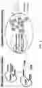 Fig. 13 - METHODS AND COMPOSITIONS FOR CELL THERAPY
