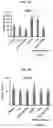 Fig. 09 - COMPOSITIONS AND METHODS FOR PREVENTING THE PROLIFERATION AND EPITHELIAL-MESENCHYMAL TRANSITION OF EPITHELIAL CELLS