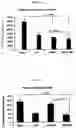 Fig. 20 - COMPOSITIONS AND METHODS FOR PREVENTING THE PROLIFERATION AND EPITHELIAL-MESENCHYMAL TRANSITION OF EPITHELIAL CELLS