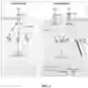 Fig. 02 - COMPOSITIONS AND METHODS FOR CANCER THERAPY