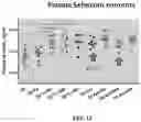 Fig. 33 - COMPOSITIONS AND METHODS FOR CANCER THERAPY