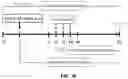 Fig. 56 - COMPOSITIONS AND METHODS FOR CANCER THERAPY