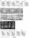 Fig. 04 - COMPOSITIONS, METHODS FOR REGULATING UTERINE, PLACENTAL GROWTH