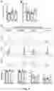 Fig. 10 - COMPOSITIONS, METHODS FOR REGULATING UTERINE, PLACENTAL GROWTH