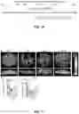 Fig. 11 - COMPOSITIONS, METHODS FOR REGULATING UTERINE, PLACENTAL GROWTH