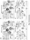 Fig. 16 - COMPOSITIONS, METHODS FOR REGULATING UTERINE, PLACENTAL GROWTH