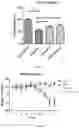 Fig. 16 - strain and use thereof