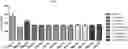 Fig. 01 - Lactobacillus Gasseri KBL697 strain and use thereof