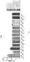 Fig. 02 - Lactobacillus Gasseri KBL697 strain and use thereof