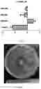 Fig. 06 - Lactobacillus Gasseri KBL697 strain and use thereof