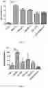 Fig. 07 - Lactobacillus Gasseri KBL697 strain and use thereof