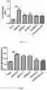Fig. 08 - Lactobacillus Gasseri KBL697 strain and use thereof