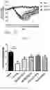 Fig. 10 - Lactobacillus Gasseri KBL697 strain and use thereof