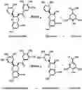 Fig. 01 - ENZYMATICALLY TREATED CATECHIN PRODUCT WITH INCREASED CONTENTS OF GALLIC ACID, EPICATECHIN, AND EPIGALLOCATECHIN AND METHOD FOR PRODUCING SAME