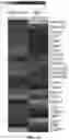 Fig. 05 - THERMOGENIC COMPOSITIONS AND METHODS