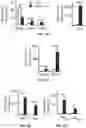 Fig. 06 - THERMOGENIC COMPOSITIONS AND METHODS