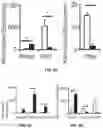 Fig. 07 - THERMOGENIC COMPOSITIONS AND METHODS