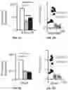 Fig. 09 - THERMOGENIC COMPOSITIONS AND METHODS