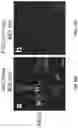 Fig. 109 - THERMOGENIC COMPOSITIONS AND METHODS