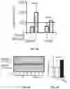Fig. 19 - THERMOGENIC COMPOSITIONS AND METHODS