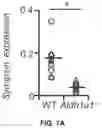 Fig. 25 - THERMOGENIC COMPOSITIONS AND METHODS