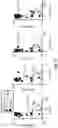Fig. 28 - THERMOGENIC COMPOSITIONS AND METHODS