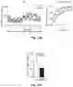 Fig. 41 - THERMOGENIC COMPOSITIONS AND METHODS