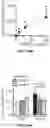 Fig. 51 - THERMOGENIC COMPOSITIONS AND METHODS
