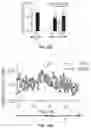 Fig. 54 - THERMOGENIC COMPOSITIONS AND METHODS