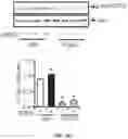 Fig. 59 - THERMOGENIC COMPOSITIONS AND METHODS