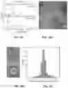 Fig. 65 - THERMOGENIC COMPOSITIONS AND METHODS