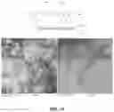 Fig. 66 - THERMOGENIC COMPOSITIONS AND METHODS