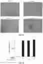 Fig. 68 - THERMOGENIC COMPOSITIONS AND METHODS