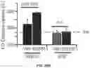 Fig. 71 - THERMOGENIC COMPOSITIONS AND METHODS