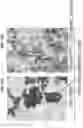 Fig. 75 - THERMOGENIC COMPOSITIONS AND METHODS