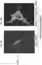 Fig. 78 - THERMOGENIC COMPOSITIONS AND METHODS
