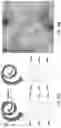 Fig. 82 - THERMOGENIC COMPOSITIONS AND METHODS