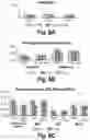 Fig. 11 - POLYMERIC NANOPARTICLES AND A PROCESS OF PREPARATION THEREOF