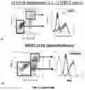 Fig. 03 - METHODS OF TREATING CANCER BY TARGETING TUMOR-ASSOCIATED MACROPHAGES
