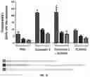 Fig. 13 - METHODS OF TREATING CANCER BY TARGETING TUMOR-ASSOCIATED MACROPHAGES