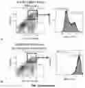 Fig. 16 - METHODS OF TREATING CANCER BY TARGETING TUMOR-ASSOCIATED MACROPHAGES